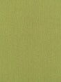 Scalamandre Rio Leaf Fabric