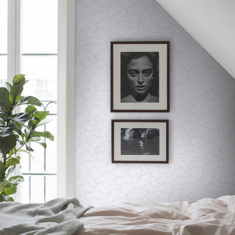 Borastapeter Molntuss Grey Wallpaper