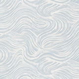 Schumacher Shio Sky Fabric