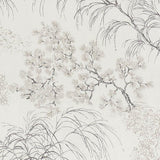 Schumacher Mori Sheer Neutral Fabric