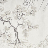 Schumacher Mori Sheer Neutral Fabric