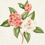 Schumacher Casablanca Floral Indoor/Outdoor Coral Fabric