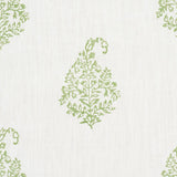 Schumacher Kerala Paisley Leaf Fabric