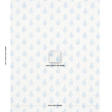 Schumacher Kerala Paisley Blue Fabric