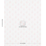 Schumacher Kerala Paisley Blush Fabric