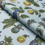 Schumacher Berry Grove Sky Fabric