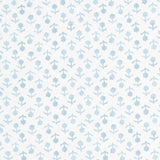 Schumacher Beatriz Sky Wallpaper