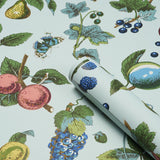 Schumacher Berry Grove Sky Wallpaper