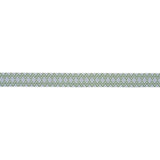 Schumacher Pinula Tape Fern Trim