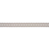 Schumacher Pinula Tape Oyster Trim