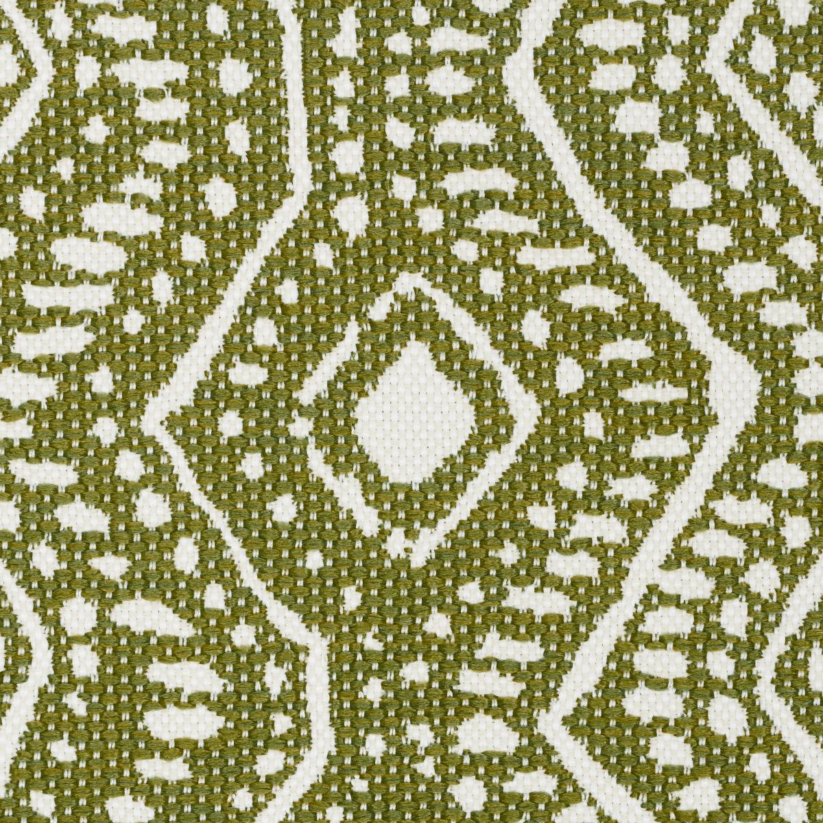 Schumacher Colma Indoor/Outdoor Verde Fabric