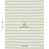 Schumacher Serra Mesa Indoor/Outdoor Stripe Verde Fabric