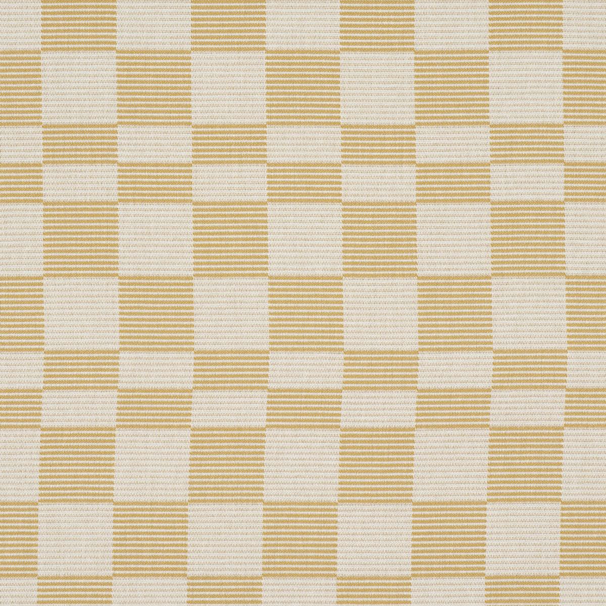 Schumacher Morro Indoor/Outdoor Maize Fabric