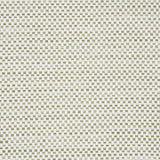 Schumacher Pacifica Indoor/Outdoor Forest Fabric