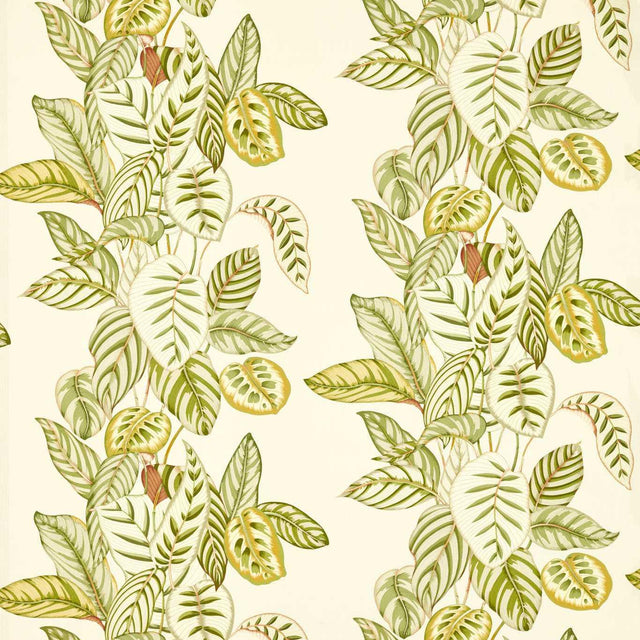 Sanderson Calathea Samphire Fabric