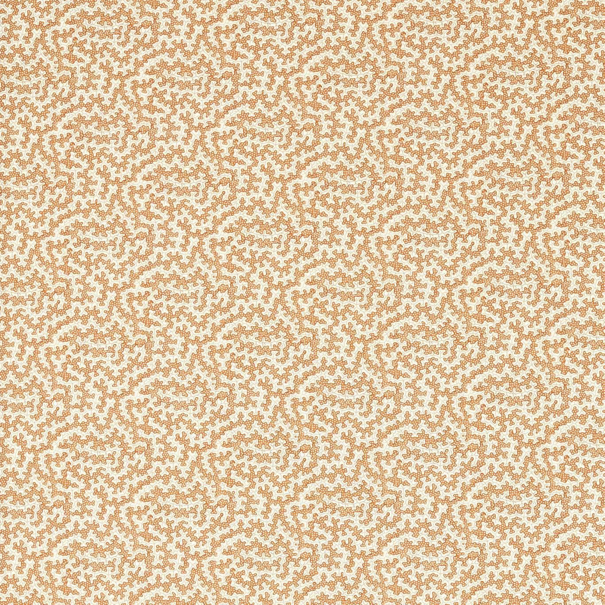 Sanderson Truffle Sandstone Fabric