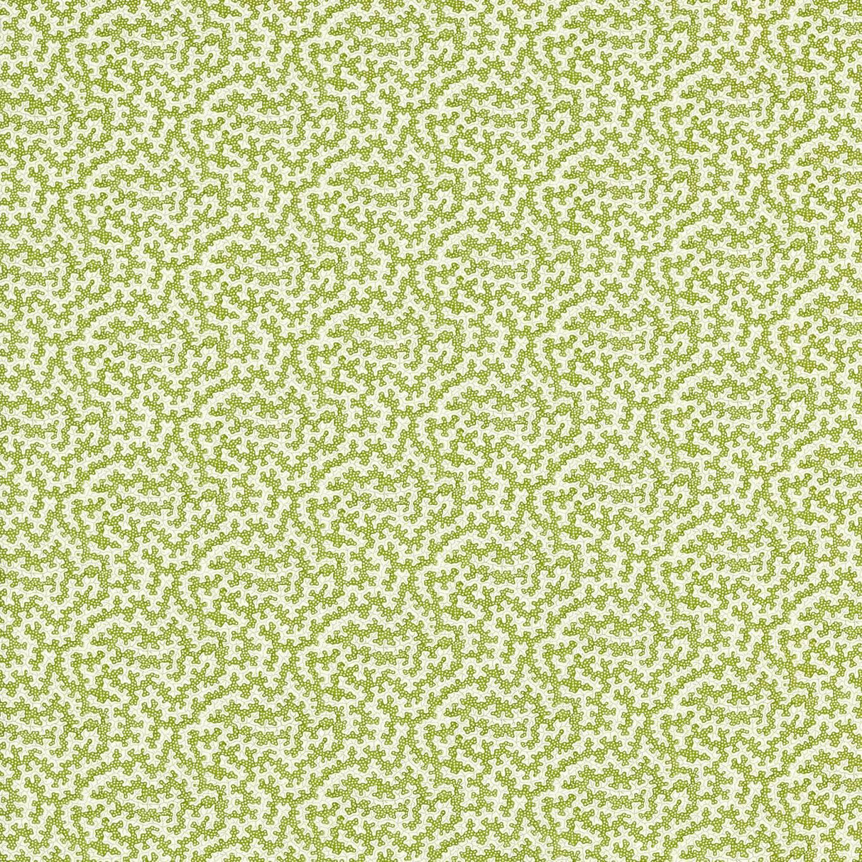 Sanderson Truffle Olive Fabric