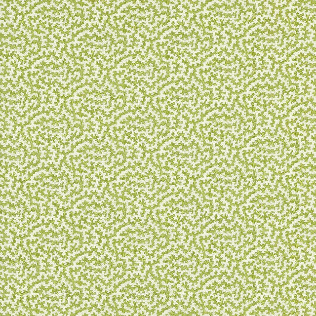 Sanderson Truffle Olive Fabric