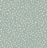 Brewster Home Fashions Marguerite Sea Green Floral Wallpaper