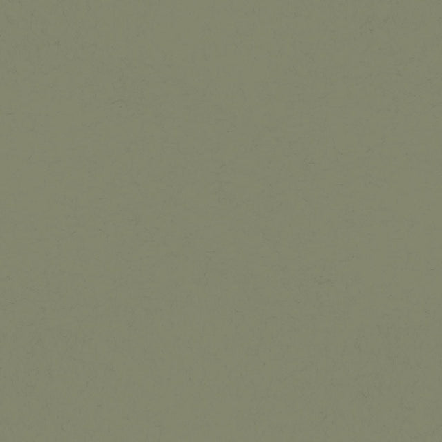 A-Street Prints Solids Olive Wallpaper
