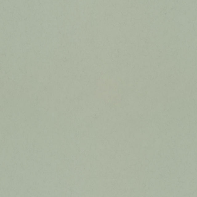A-Street Prints Solids Light Green Wallpaper