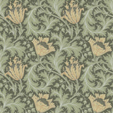 A-Street Prints Anemone Moss Floral Trail Wallpaper