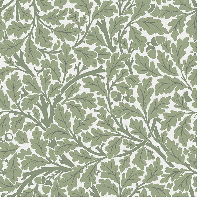 A-Street Prints Oak Tree Green Leaf Wallpaper