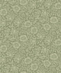 A-Street Prints Mallow Green Floral Vine Wallpaper