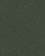 Brewster Home Fashions Clio Dark Green Lined Geometric Wallpaper