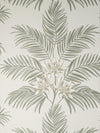 Brewster Home Fashions Bali Light Grey Palm Wallpaper