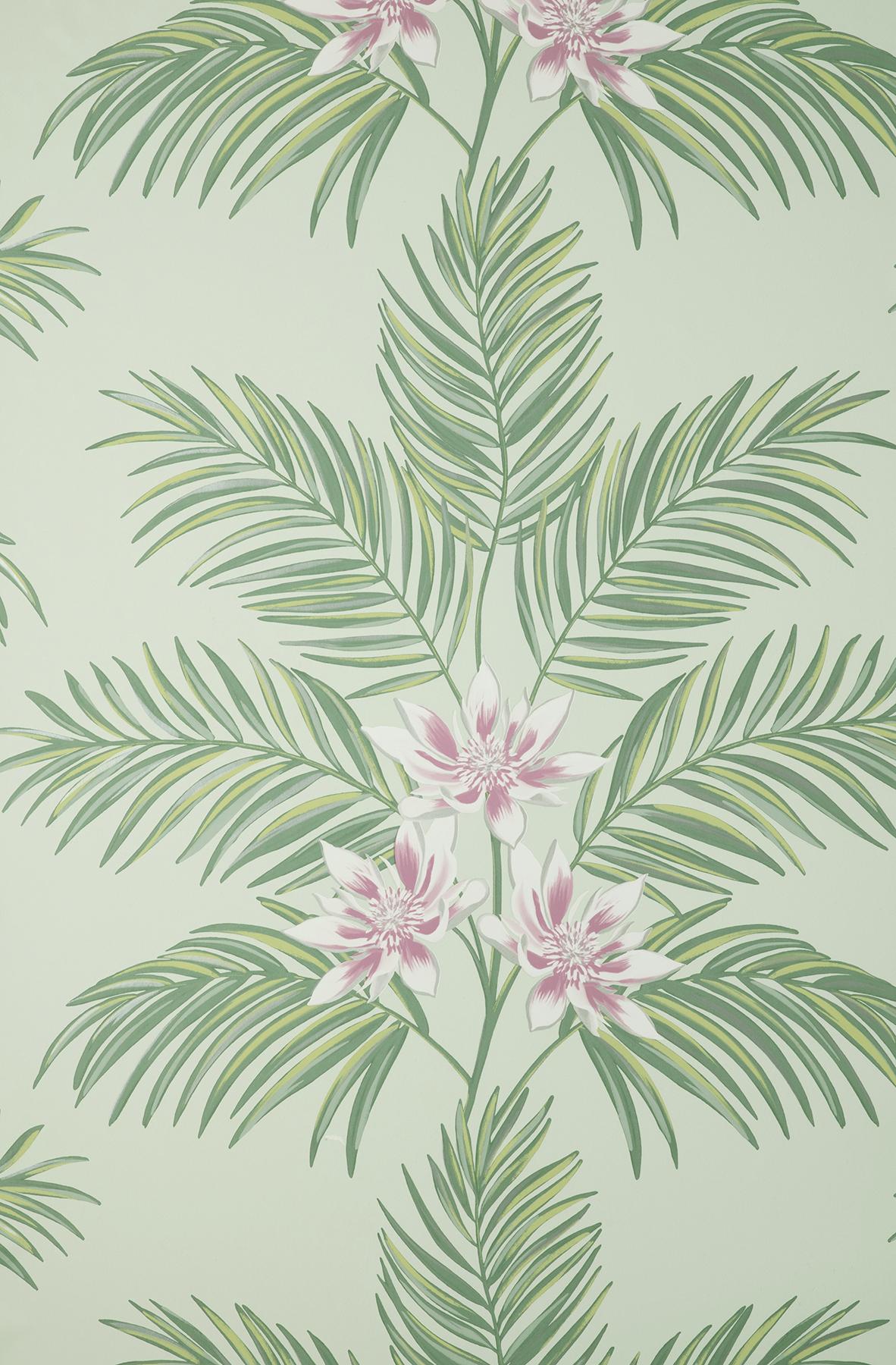 Brewster Home Fashions Bali Sage Palm Wallpaper