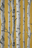 Brewster Home Fashions Chester Mustard Birch Trees Wallpaper