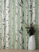 Brewster Home Fashions Chester Sage Birch Trees Wallpaper