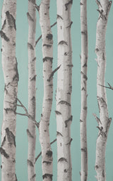 Brewster Home Fashions Chester Aqua Birch Trees Wallpaper
