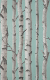 Brewster Home Fashions Chester Aqua Birch Trees Wallpaper