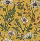 Brewster Home Fashions Arden Mustard Wild Meadow Wallpaper