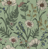 Brewster Home Fashions Arden Sage Wild Meadow Wallpaper