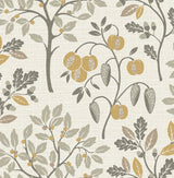 Brewster Home Fashions Rowan Natural Autumn Trees Wallpaper