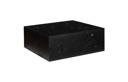 Phillips Collection Teak Slice Square Black Coffee Table