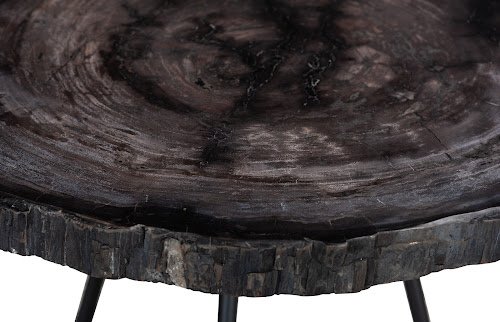 Phillips Collection Petrified Round Metal Black Base Coffee Table