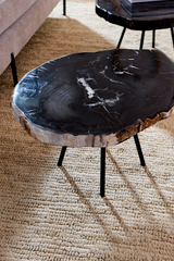 Phillips Collection Petrified Round Metal Black Base Coffee Table