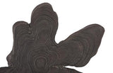 Phillips Collection Freeform Teak Wall Slice LG Dark Gray Wall Art