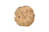 Phillips Collection Teak Wood Ball Large Bleached Accent