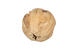 Phillips Collection Teak Wood Ball Large Bleached Accent