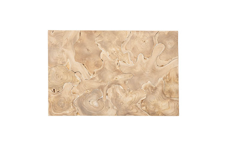 Phillips Collection Teak Slice Rectangle Bleached Coffee Table