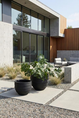Phillips Collection June , Black, XS Black Planter