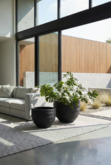 Phillips Collection June , Black, XS Black Planter