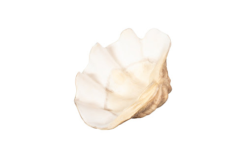 Phillips Collection Cast Clam Shell , Faux Finish, SM Beige Bowl