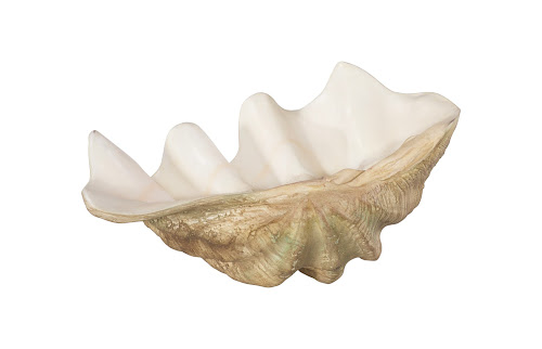 Phillips Collection Cast Clam Shell , Faux Finish, LG Beige Bowl