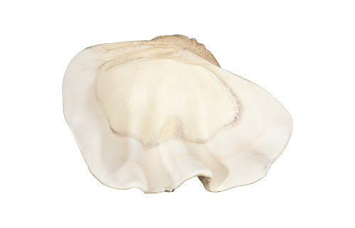 Phillips Collection Cast Clam Shell , Faux Finish, LG Beige Bowl